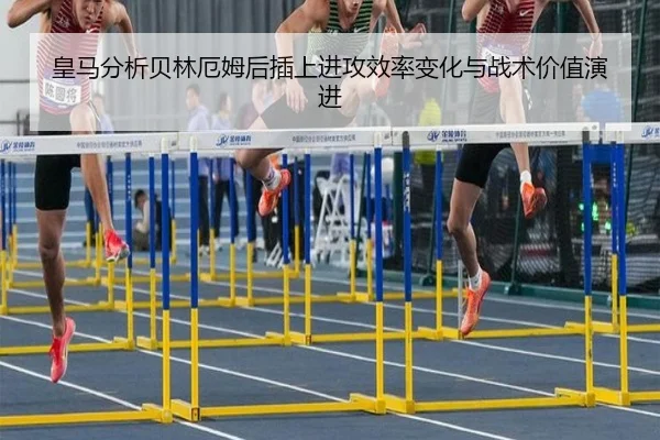 huang-ma-fen-xi-bei-lin-e-mu-hou-cha-shang-jin-gong-xiao-lv-bian-hua-yu-zhan-shu-jia-zhi-yan-jin-2-226.jpg
