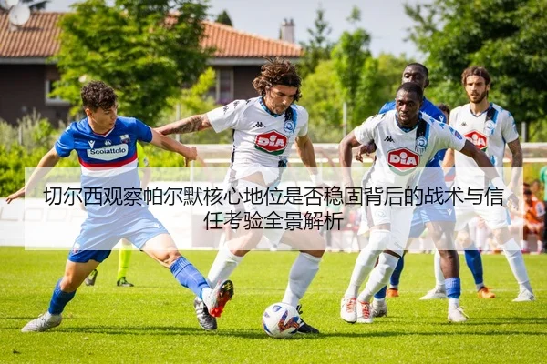 切尔西观察帕尔默核心地位是否稳固背后的战术与信任考验全景解析