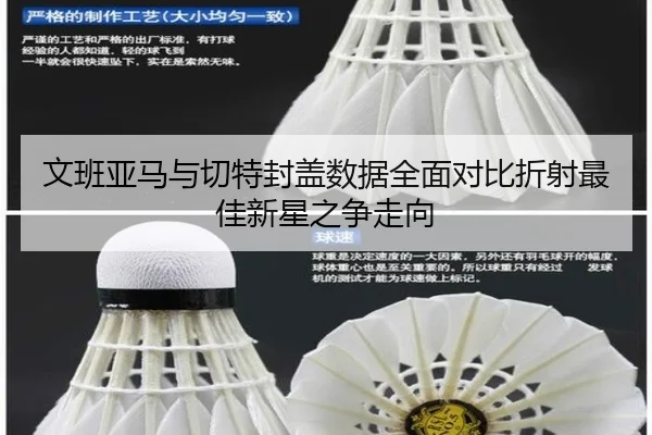 文班亚马与切特封盖数据全面对比折射最佳新星之争走向